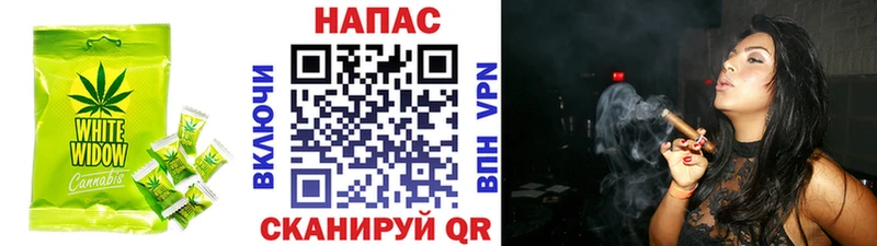 kraken вход  Новоузенск  Еда ТГК конопля 