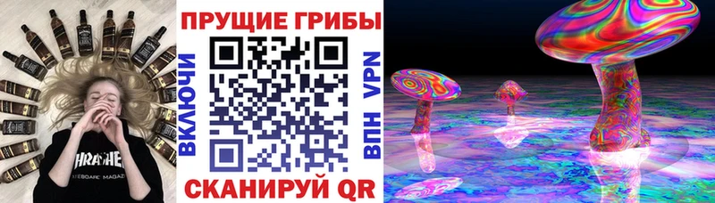 Псилоцибиновые грибы мухоморы  omg ССЫЛКА  Новоузенск 
