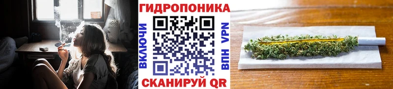 где купить наркотик  Новоузенск  Каннабис Ganja 